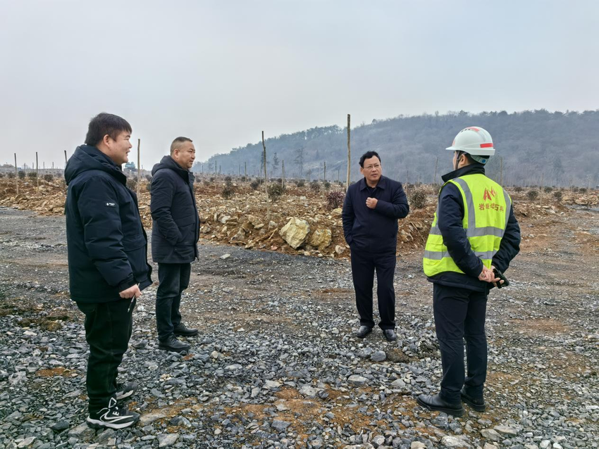 罗店镇党委书记田卫锋与企业负责人交流