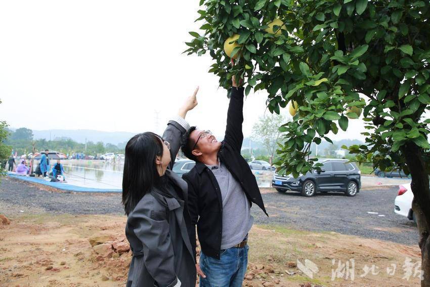 1_媒体稿子·宜都「兰香驿」微度假营地.docx