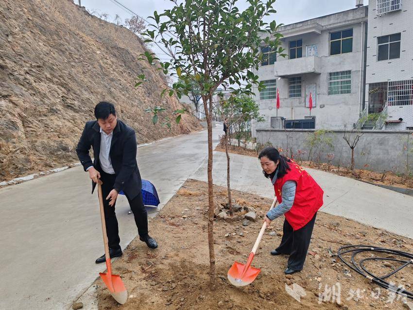 罗田一中联合万密斋社区开展植树活动.doc