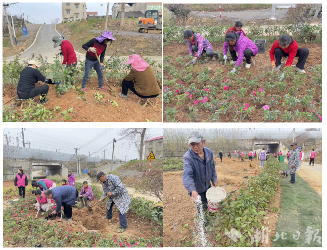 党建引领生态蝶变：武城村“唯爱小花园”绘就乡村振兴新图景.docx