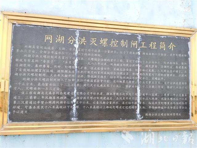 토토 사이트 순위
