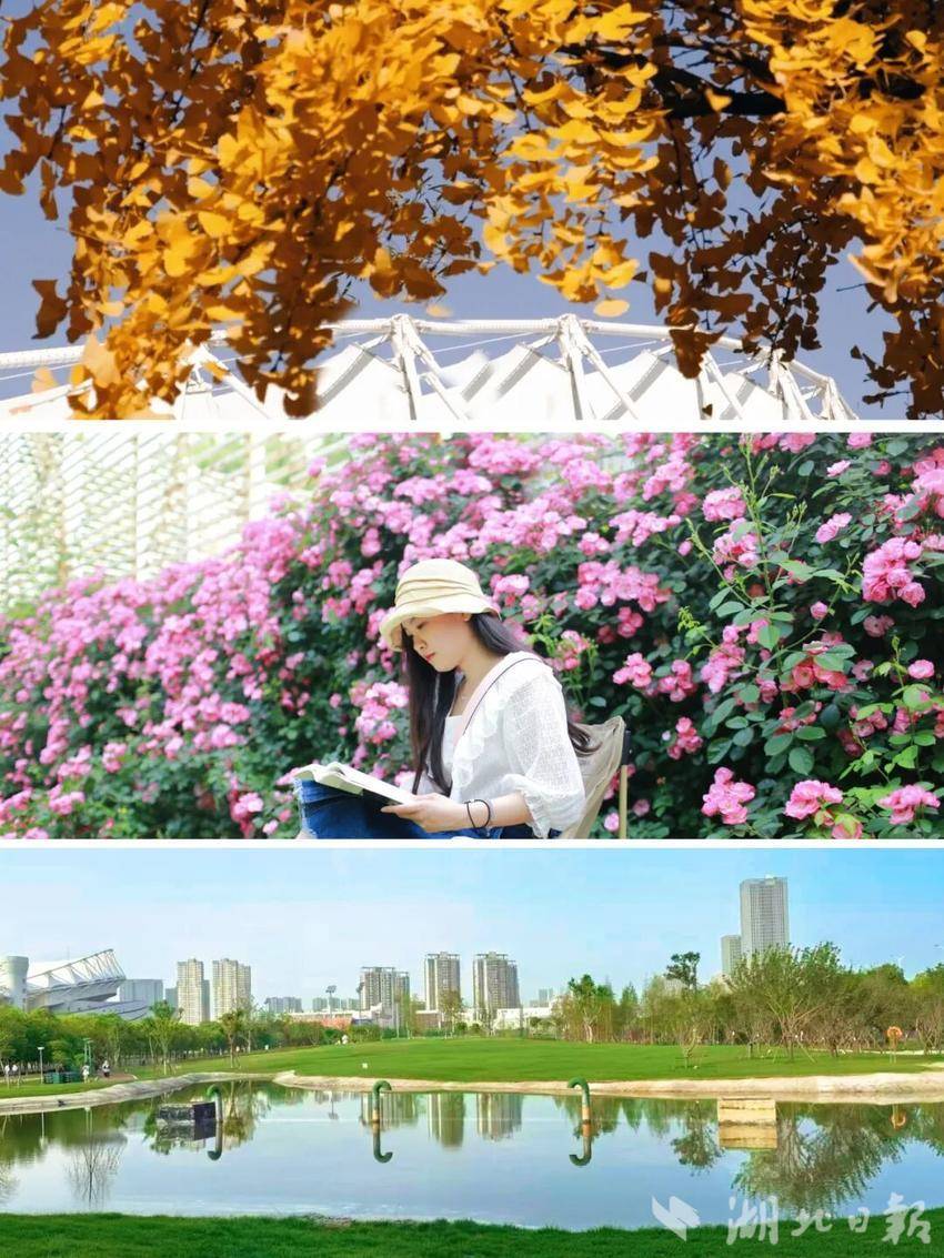 武汉经开区首家！这座公园上榜国家4A景区 - 湖北日报新闻客户端