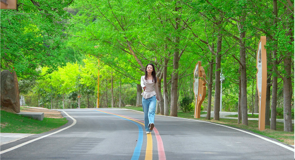 ff8a30a039973f4ccda20a29c61a5e3.png