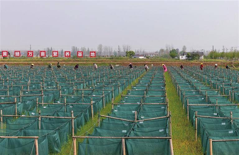 示范基地 领先领跑