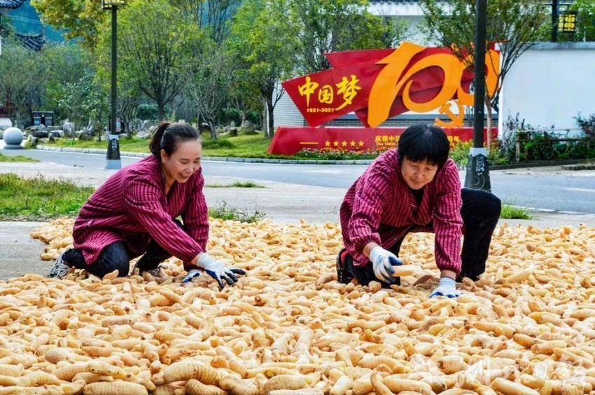 图片