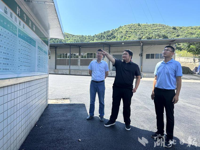 图为检查烟叶收购公示板