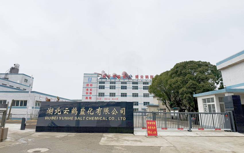 2026年2月3日——下好“重整棋” “云鹤”振翅飞.doc