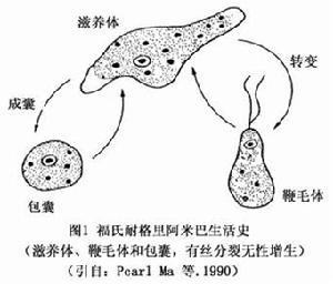 20190830093304_0d5ed3.jpg