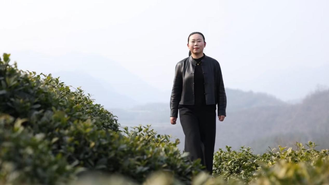 时·干2026》·立春｜春山可望蓄势新生——一个姑娘与一方茶山的故事- 湖北