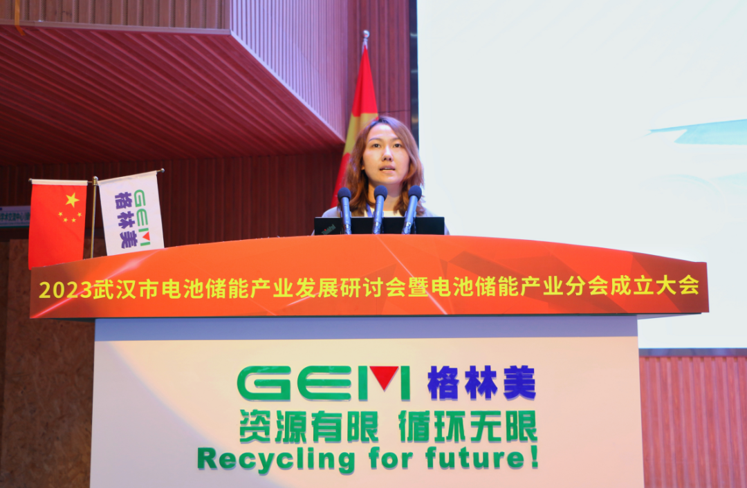 “绿动武汉 储能未来”  2023武汉市电池储能产业发展研讨会举行.docx