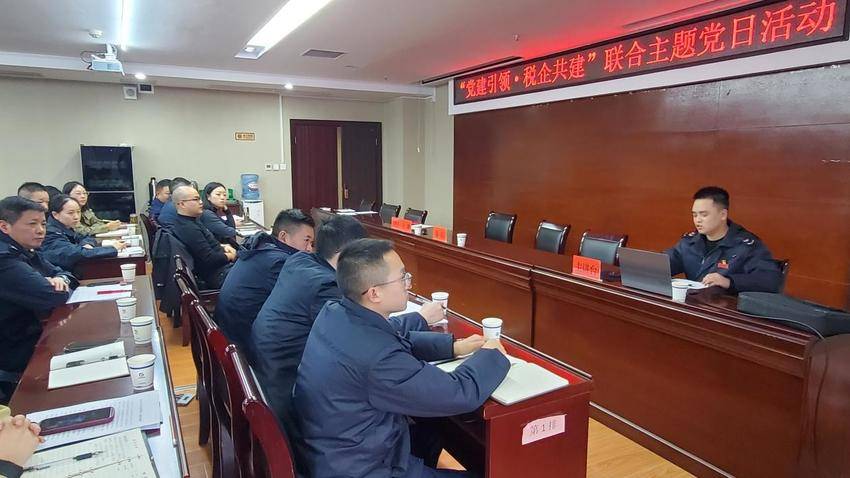 联合主题党日活动：党建引领 税企共建.docx