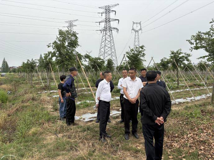 宣传报道-项目建设代表行动.docx