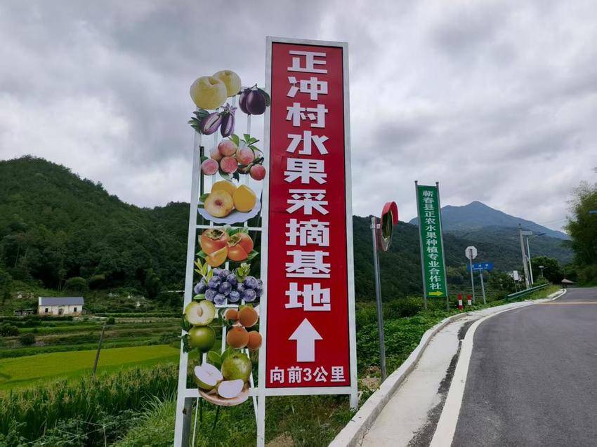 【修改定稿版】将军山脚下正冲村【余四海散文2850字】.docx