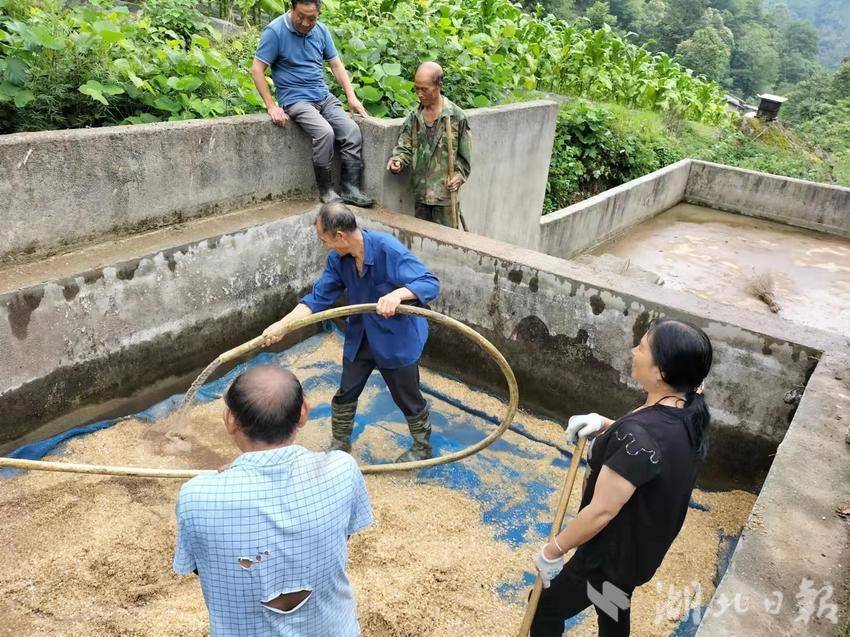 从“源头”到“龙头”保供，从“有水”到“好水”提质——竹溪泉溪镇9000余村民喝上“放心水” - 湖北日报新闻客户端