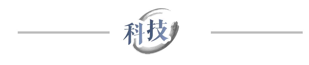分割5.jpg
