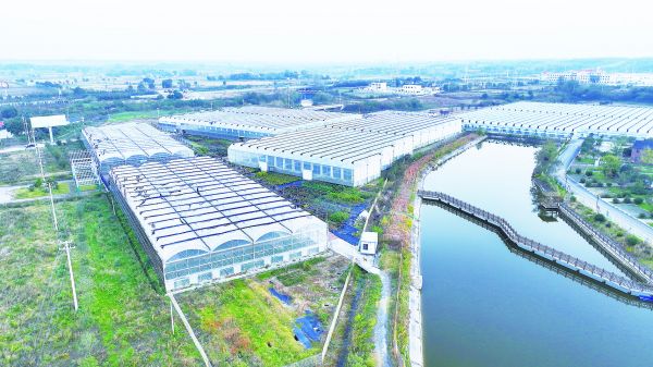 （依水而行）强产业  富口袋(分离图)5(7360417)-20231215095824