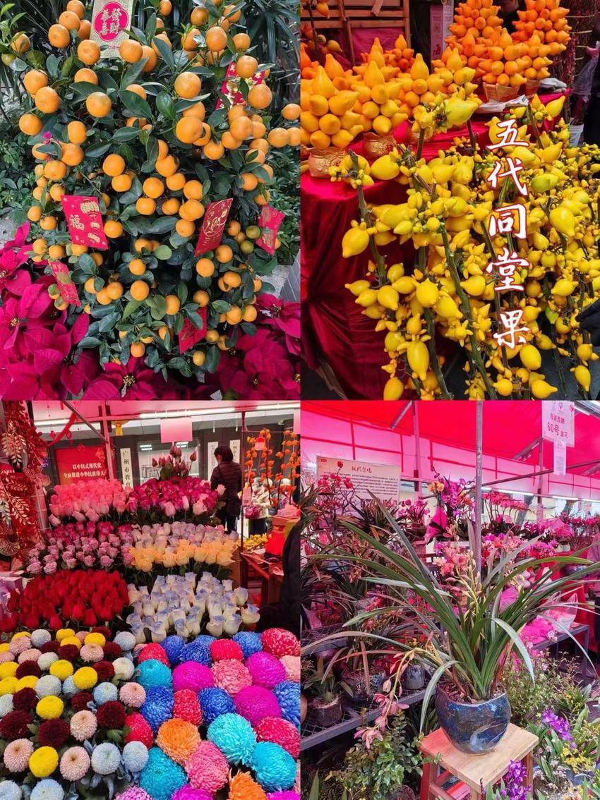 简短版逛花市.docx