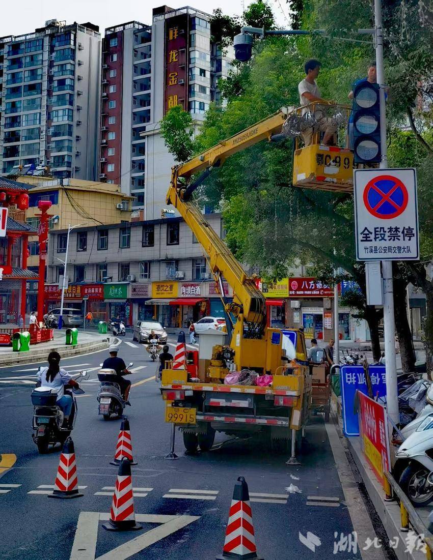 县公安交管：开展景观树枝修剪行动，为道路安全“扫清视线”.doc