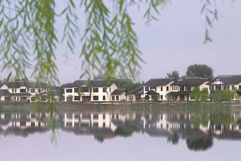 8阿明 江柳摇村 (50).jpg