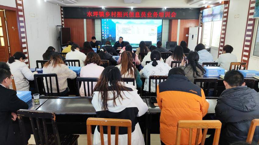 水坪镇召开乡村振兴信息员业务培训会.docx