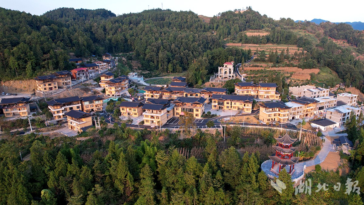 大坪寨院落 (2).JPG