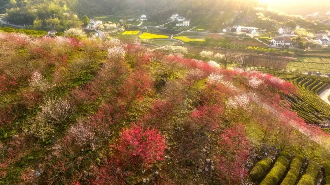 网师园  图源：提笔书几行 (5).JPG