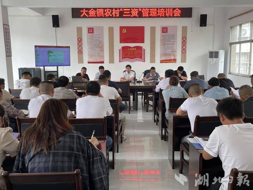 武穴市大金镇：三个强化，推进村级财务规范化管理.docx