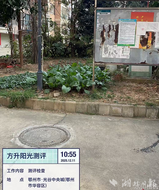 2025年第七期物业项目红黑榜报送信息2025.12.16.docx