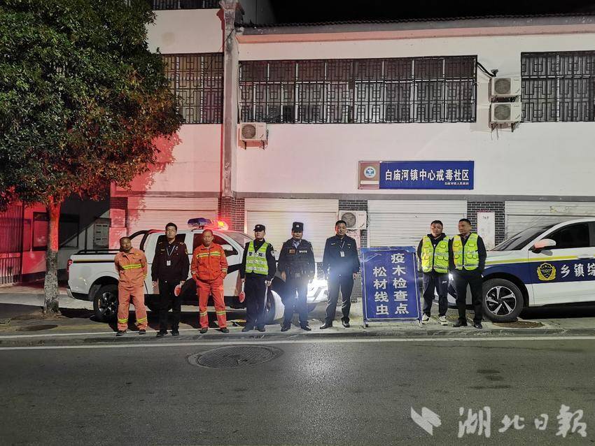 白庙河镇开展松材线虫病疫木管控专项整治“夜间守护”行动.docx