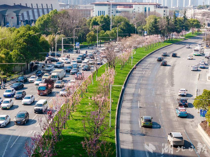 武昌火车站精致园林小品