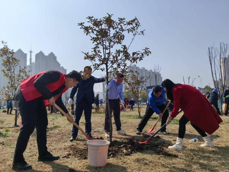 3.10大手拉小手携手共赴绿色之约(1).docx