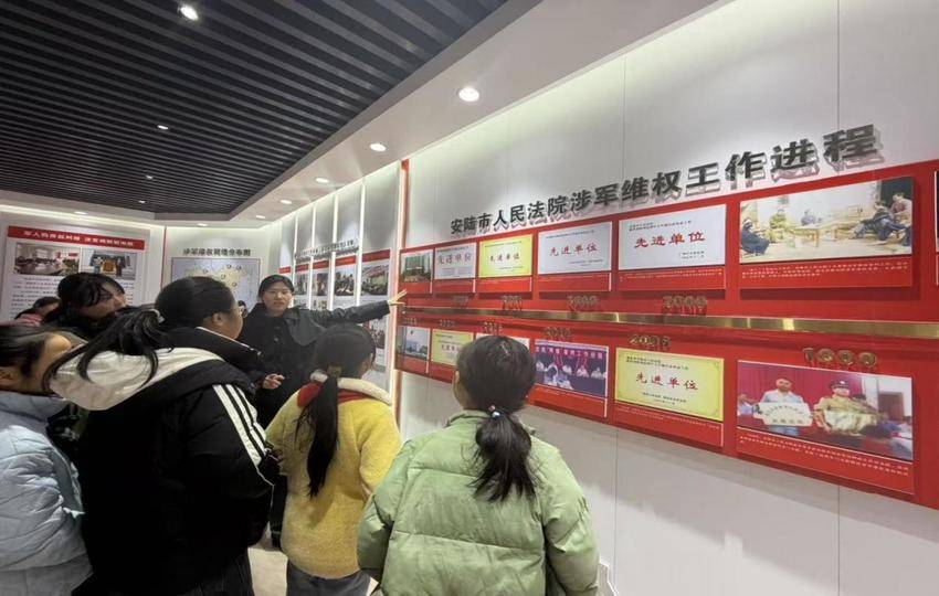 安陆赵棚镇中心小学：庭审观摩零距离 法治阳光润童心.docx