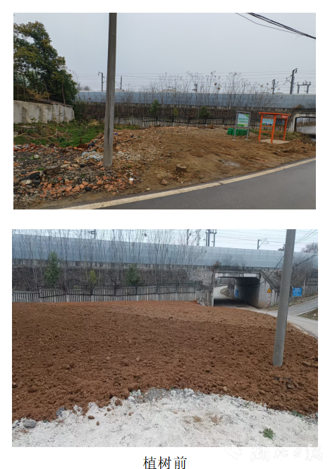 党建引领生态蝶变：武城村“唯爱小花园”绘就乡村振兴新图景.docx