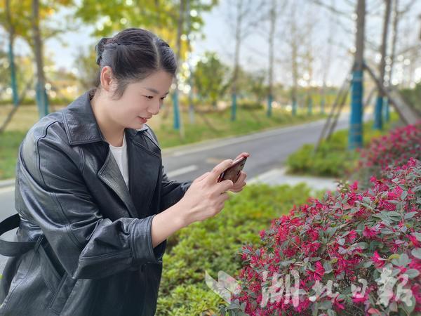 云梦县隔蒲潭镇党委宣传委员