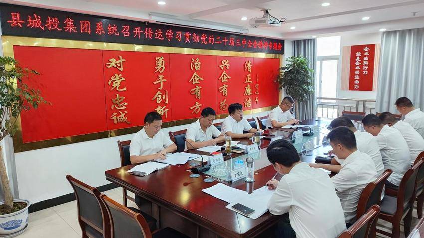 8.12县城投集团召开学习贯彻党的二十届三中全会专题会.docx