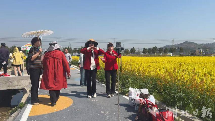 四望油菜花盛开.docx