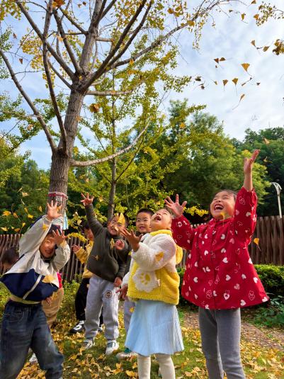 金黄落叶+萌娃笑脸 银杏通讯报道.docx