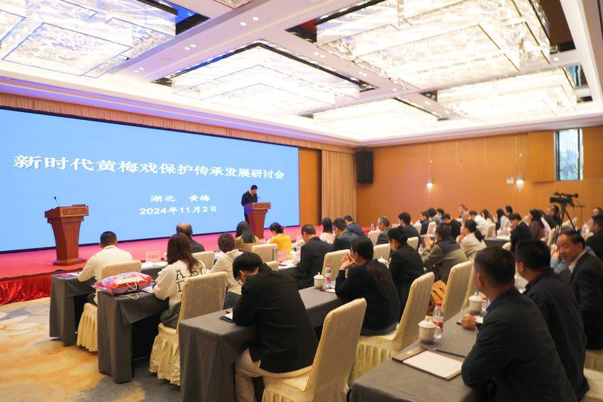 黄梅县举办新时代黄梅戏保护传承发展研讨会侧写(11.4).docx