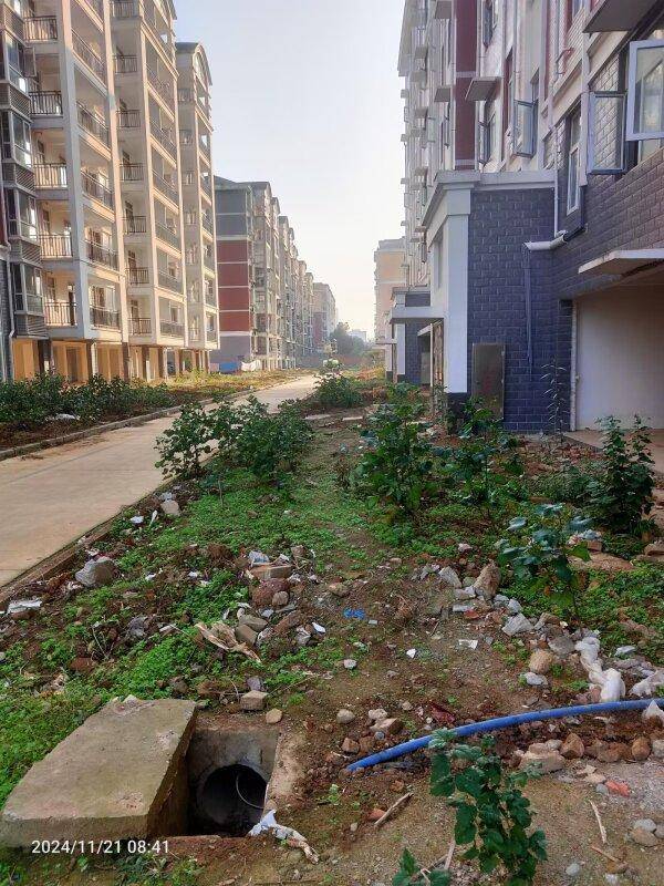 城市更新进行时：还建社区的”逆生长”密码docx.docx