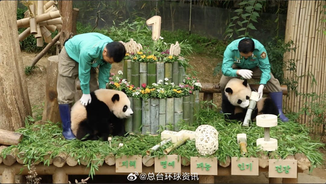 5.jpg?x-oss-process=style/w10