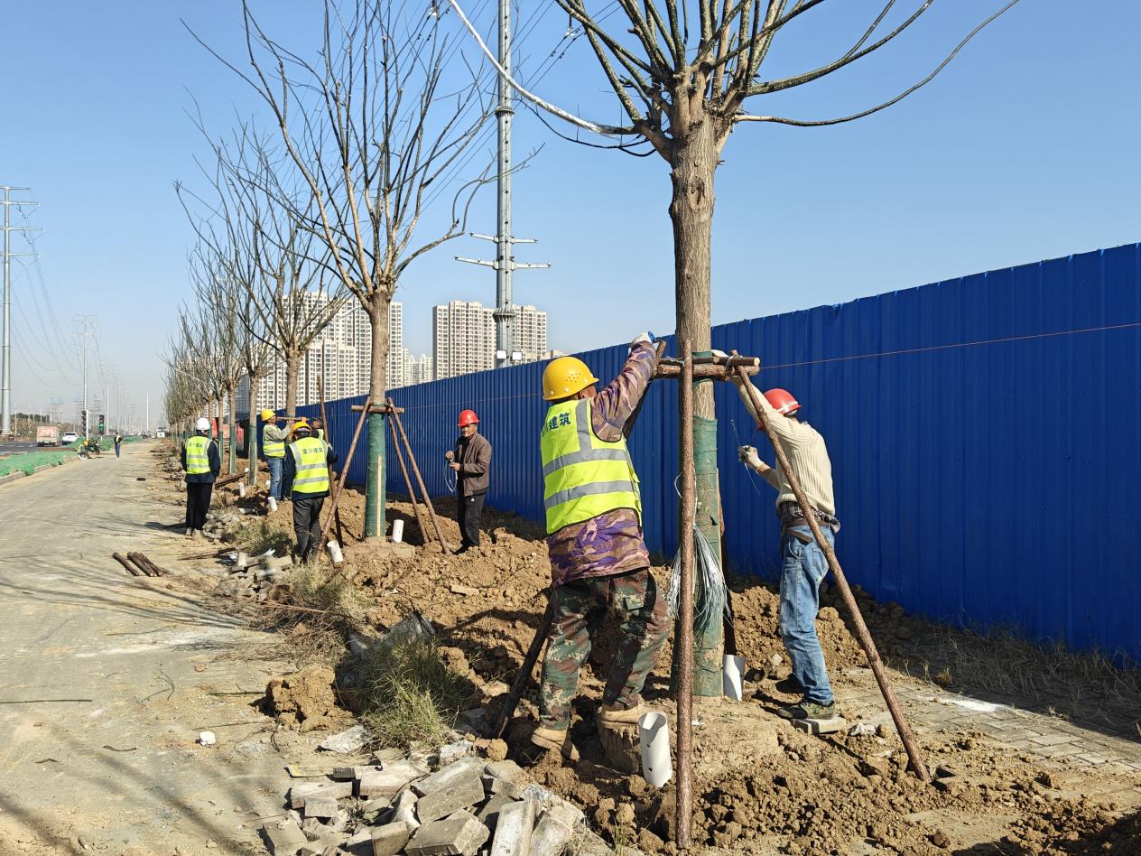 从交通干道到幸福廊道 福源路蝶变背后的民生温度.docx