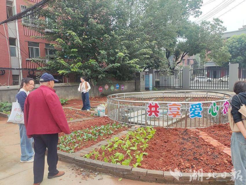 新村社区：方寸田地间，种出亲子情与暖心意(1).doc