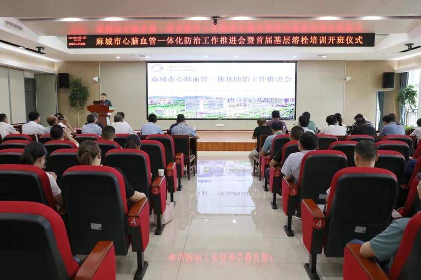 麻城：推进县域医共体建设 打通群众就医“最后一公里”.doc