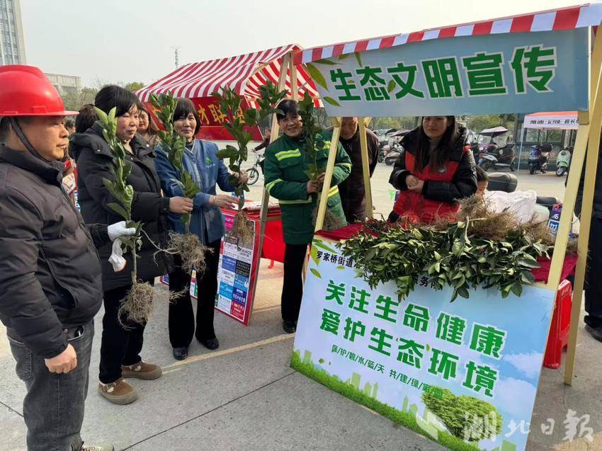 罗家桥街道开展“塑料瓶换绿植，环保常相伴”主题活动.docx