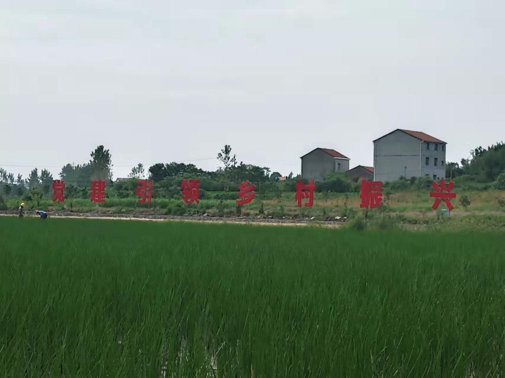 环城发展建新村看团风县方高坪镇临湖村行政村布局调整后的蝶变