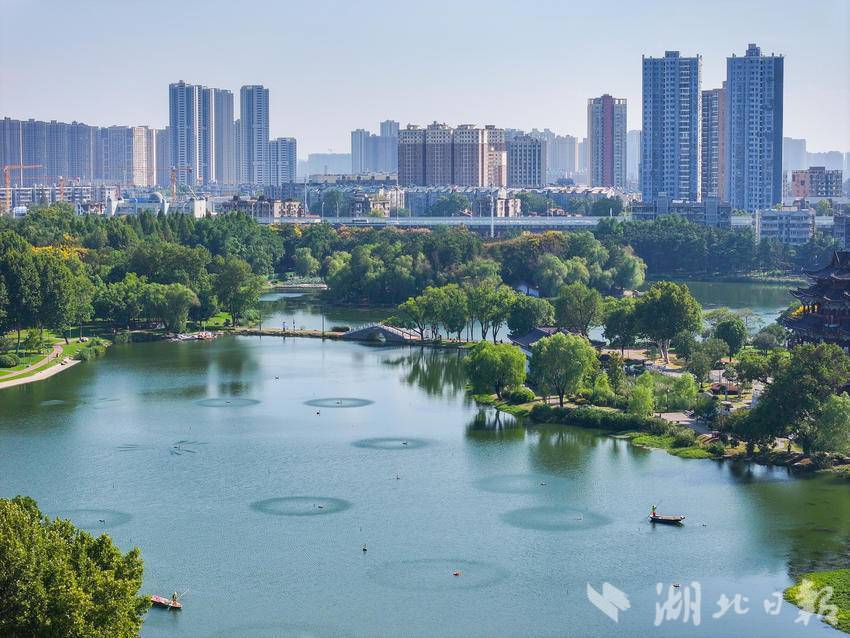 紫阳湖水域环境治理