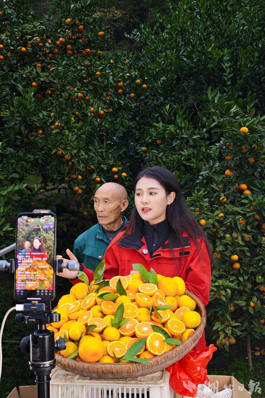 谭萌萌：从都市网红到乡村电商，让家乡的味道走出大山(图6)