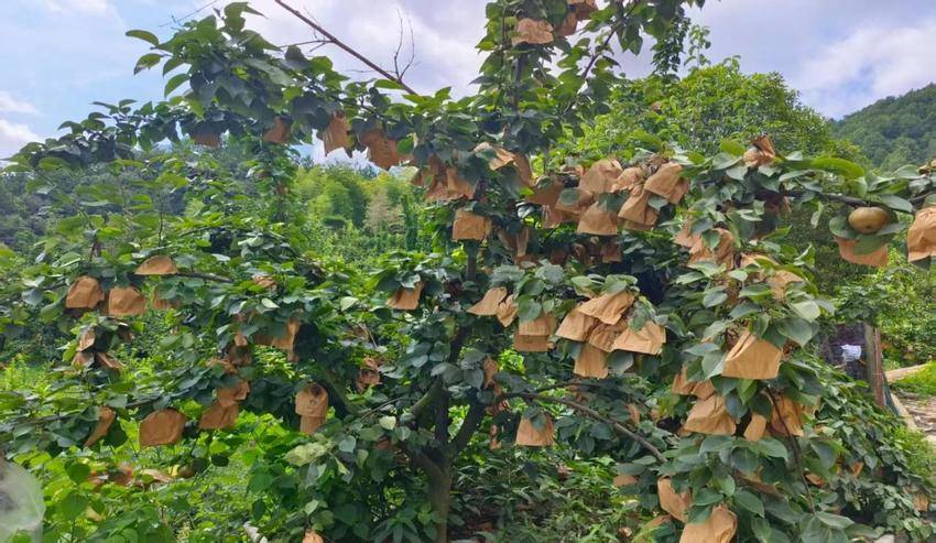 【修改定稿版】将军山脚下正冲村【余四海散文2850字】.docx