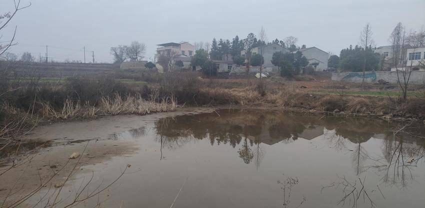 况家畈村塘堰整治新闻稿.docx