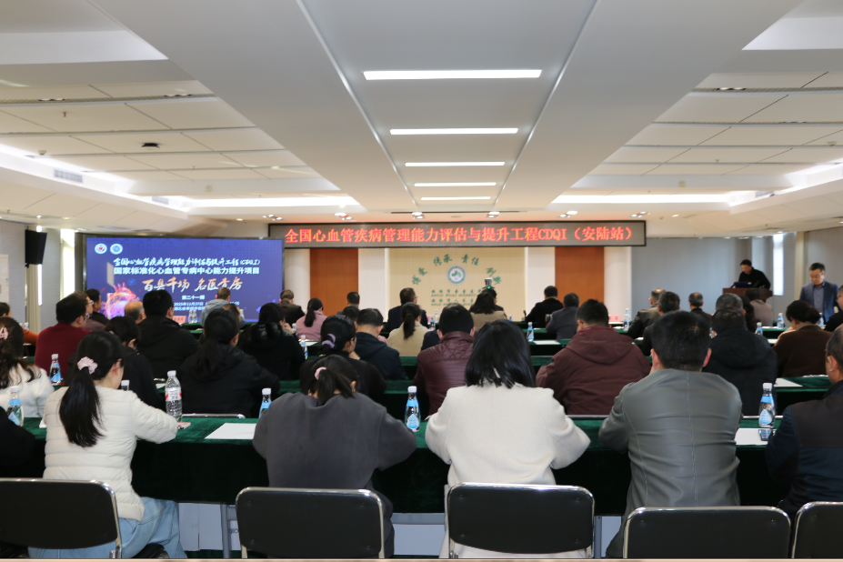 一流专家下沉安陆，CDQI工程赋能基层心血管诊疗.docx